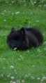 /album/fotogalerie-artus/p1070177-jpg/